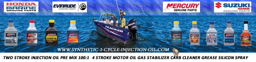 www.amsoil.synthetic-2-cycle-injection-oil.com for Amsoil synthetic 2 cycle oil